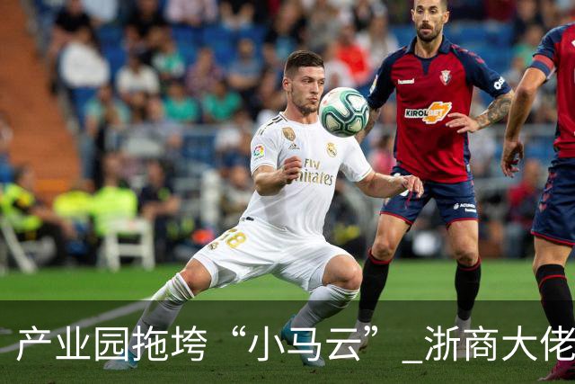 产业园拖垮“小马云” 浙商大佬被立案侦查