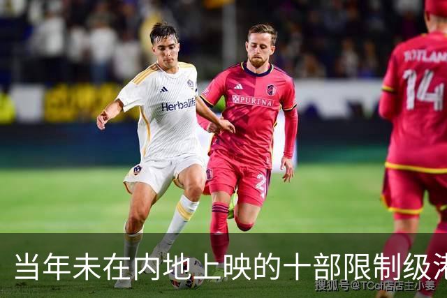 当年未在内地上映的十部限制级港片，你有幸看过哪几部？