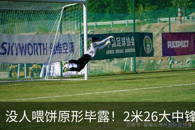 没人喂饼原形毕露！2米26大中锋仅5分2板，球迷：杜锋真没骂错你