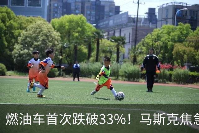 燃油车首次跌破33%！马斯克焦急发声：中国对石油依赖正加速下滑